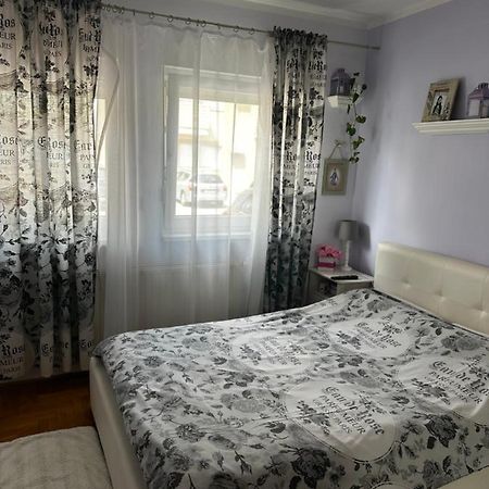 Cosy Apartment-Private Parking زغرب المظهر الخارجي الصورة