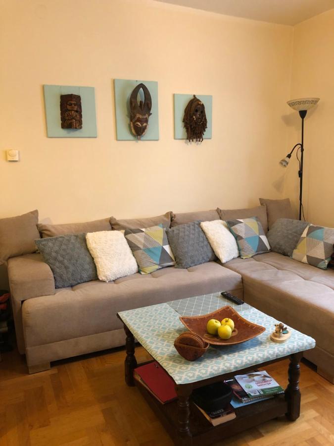 Cosy Apartment-Private Parking زغرب المظهر الخارجي الصورة