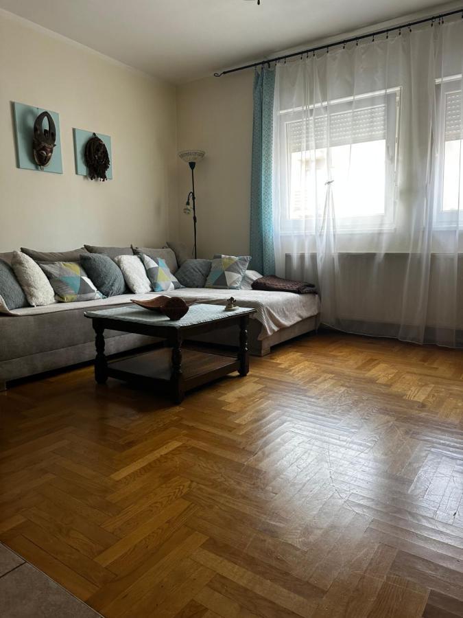 Cosy Apartment-Private Parking زغرب المظهر الخارجي الصورة